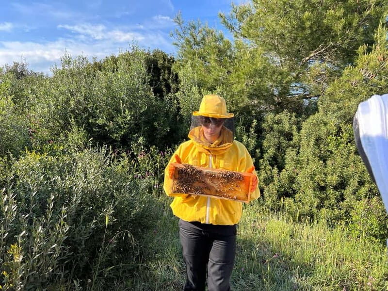 Beekeeper for a Day in the Torre Guaceto Reserve - Key Points  