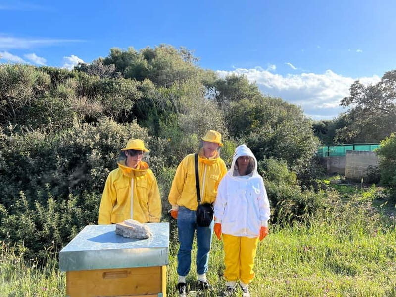 Beekeeper for a Day in the Torre Guaceto Reserve - An In-Depth Look at the Experience