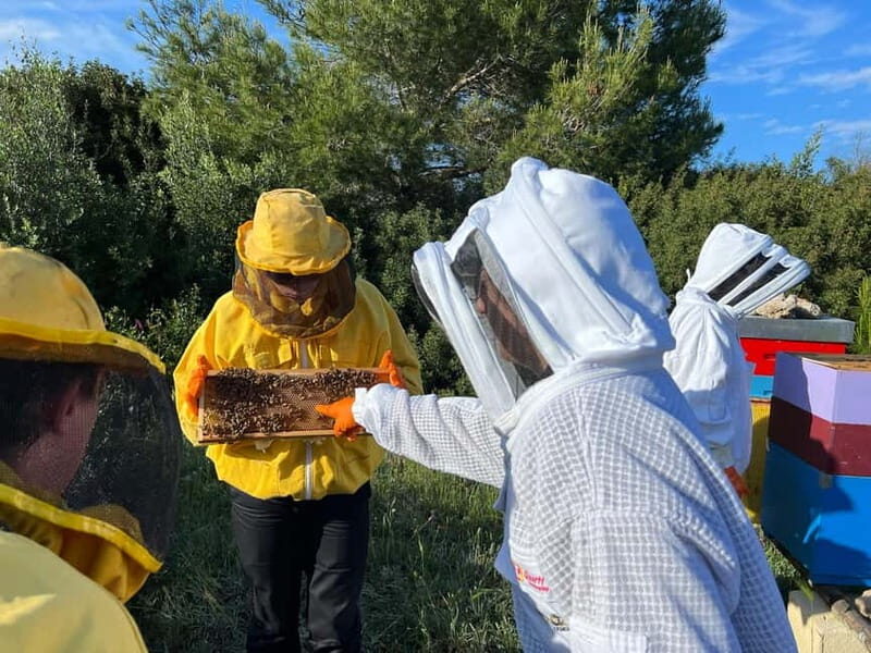 Beekeeper for a Day in the Torre Guaceto Reserve - Why This Tour Works for Different Travelers  