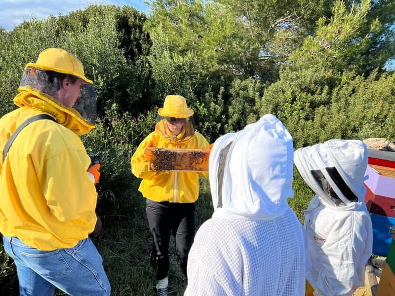 Beekeeper for a Day in the Torre Guaceto Reserve - The Bottom Line  