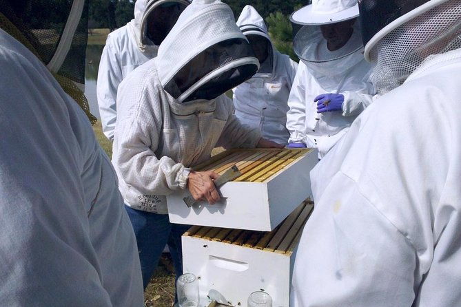 beekeeping-day-trip-private-guided-tour-from-bucharest
