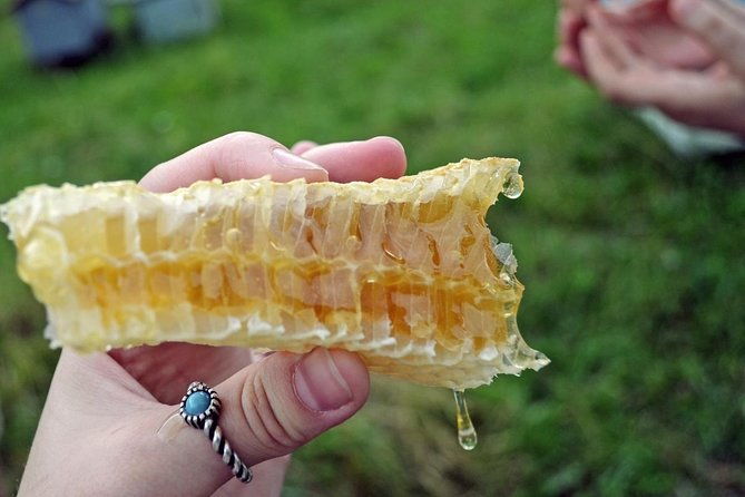 beekeeping-day-trip-private-guided-tour-from-bucharest