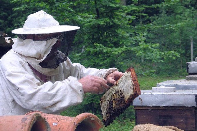 beekeeping-day-trip-private-guided-tour-from-bucharest
