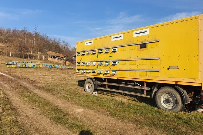 beekeeping-day-trip-private-guided-tour-from-bucharest