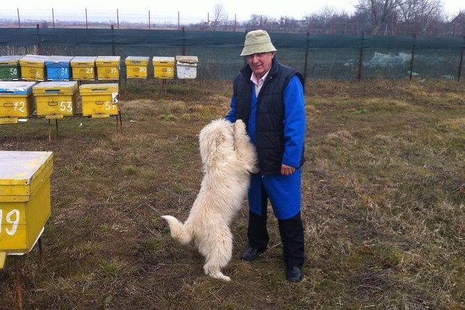 beekeeping-day-trip-private-guided-tour-from-bucharest
