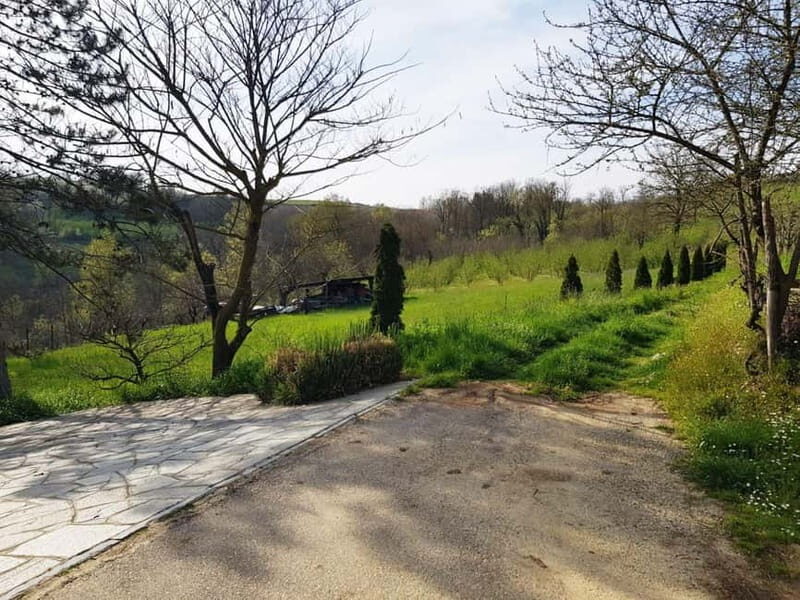 Beekeeping Tour and Honey Tasting Experience in Monferrato - Summary: Who Should Consider This Experience?