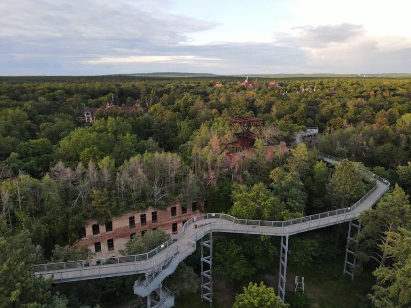 Beelitz-Heilstätten: Baum&Zeit Tree Top Walk Entry Ticket - Who Will Love This Experience