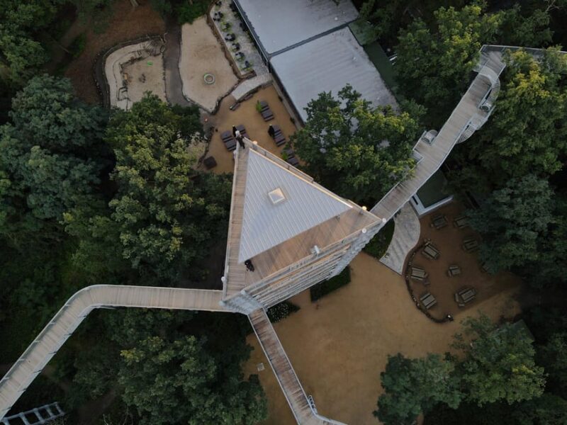 Beelitz-Heilstätten: Baum&Zeit Tree Top Walk Entry Ticket - The Sum Up