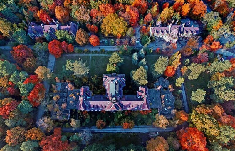 Beelitz-Heilstätten: Baum&Zeit Tree Top Walk Entry Ticket - FAQ