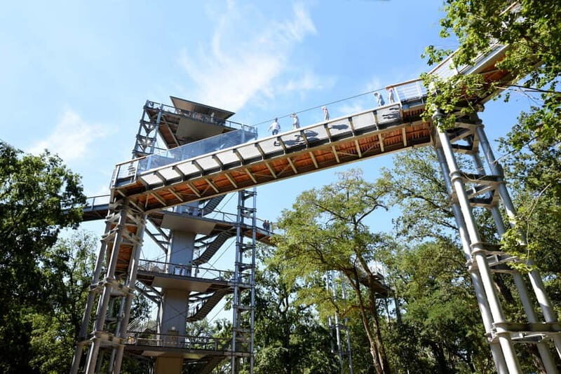 Beelitz-Heilstätten: Baum&Zeit Tree Top Walk Entry Ticket - The Experience in Detail