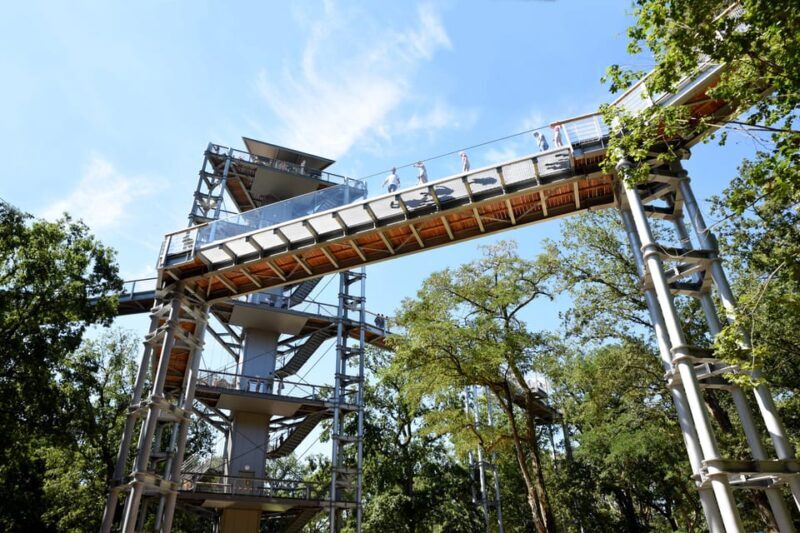 Beelitz-Heilstätten: Baum&Zeit Tree Top Walk Entry Ticket - Final Thoughts