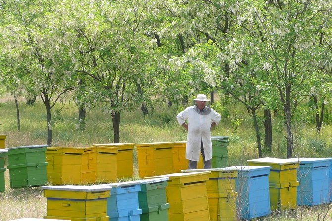 bees-adventure-in-romania-private-day-trip-from-bucharest