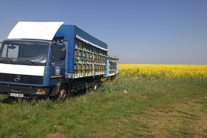 bees-adventure-in-romania-private-day-trip-from-bucharest