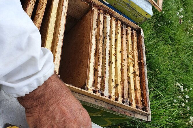 bees-adventure-in-romania-private-day-trip-from-bucharest