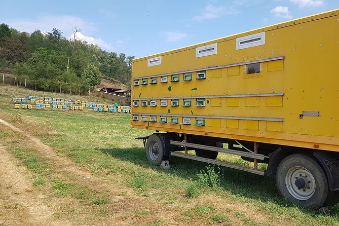 bees-adventure-in-romania-private-day-trip-from-bucharest