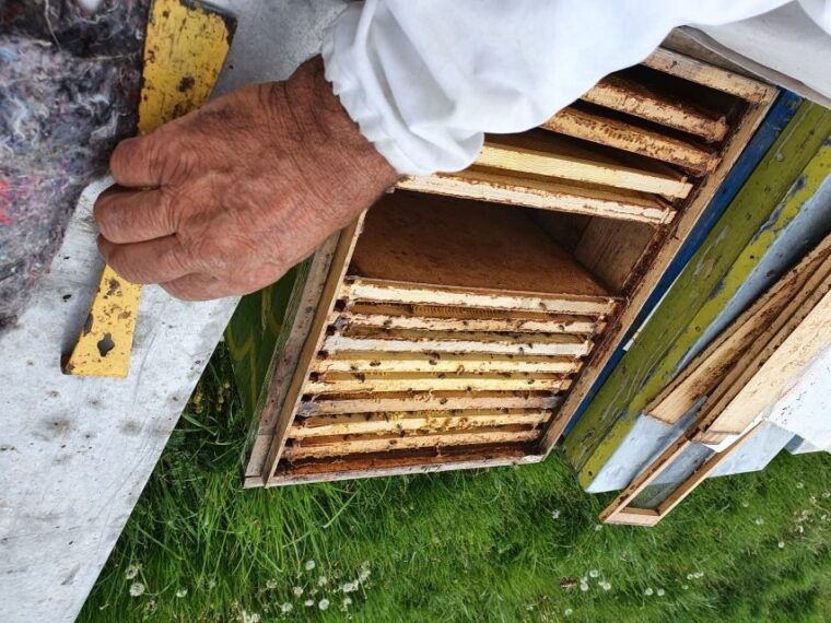 bees-in-romania-private-beekeeping-lesson-and-local-lunch