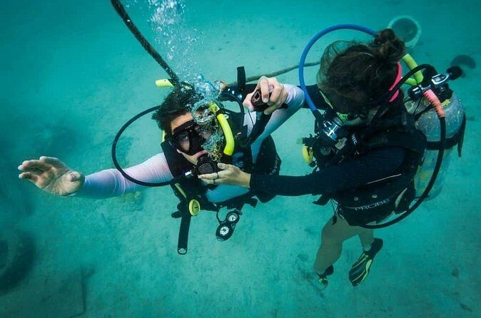 Beginner Discovery Scuba Diving in Anilao 2.5 hours away from Manila** - What Reviewers Highlighted