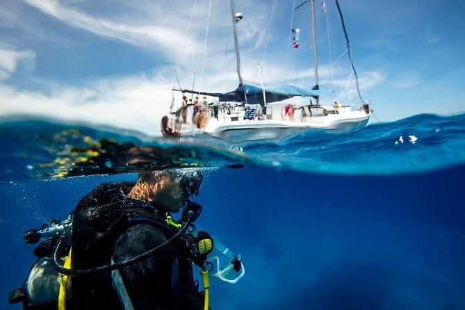 beginner-diving-experience-in-ligaria-bay