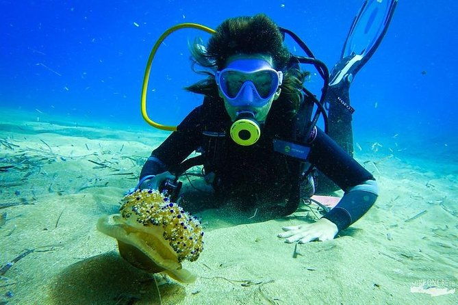 beginner-diving-experience-in-ligaria-bay