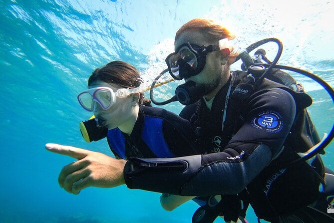 beginner-diving-experience-in-ligaria-bay