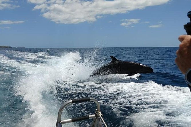 beginner-diving-lesson-2-days-with-two-tank-dives-in-guanacaste
