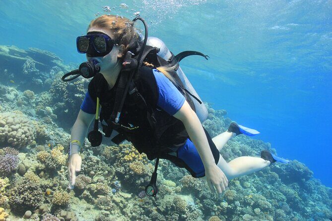 Beginner Scuba Dive 2 diving Stops & Lunch Boat Trip - El Quseir - Intro: A Beginner-Friendly Underwater Adventure in El Quseir