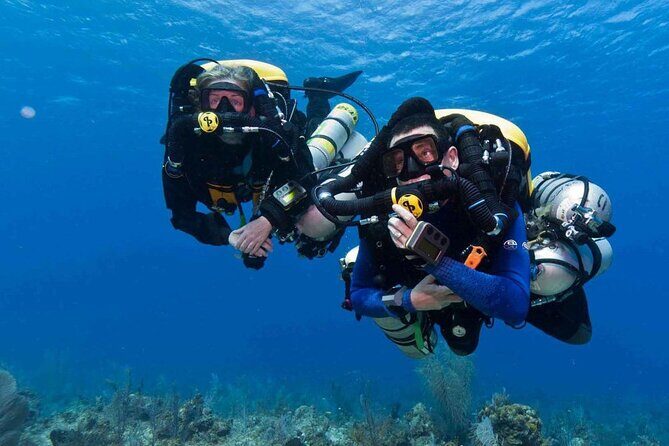 Beginner Scuba Dive 2 diving Stops & Lunch Boat Trip - El Quseir - Key Points