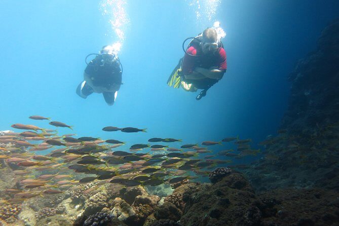 Beginner Scuba Dive in Lahaina: Swimming Required - Who Should Book This Tour?