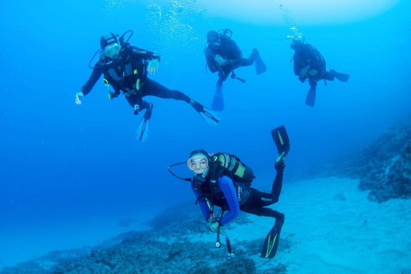 beginner-scuba-dive-with-scubapoint-tenerife-in-turtle-area