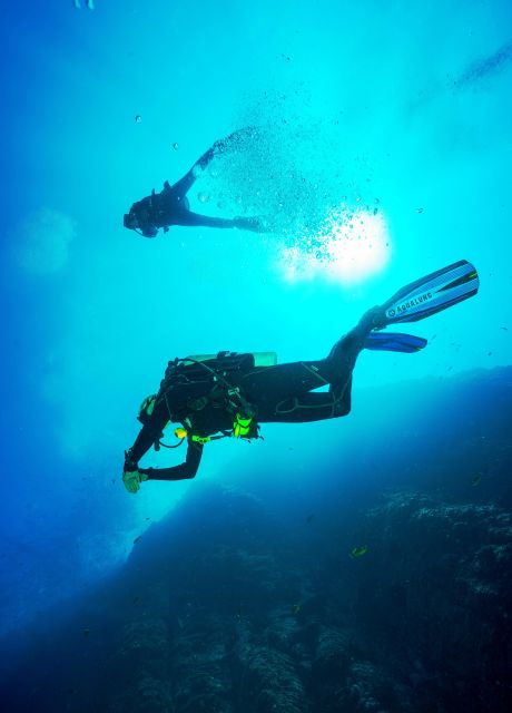 beginner-scuba-dive-with-scubapoint-tenerife-in-turtle-area