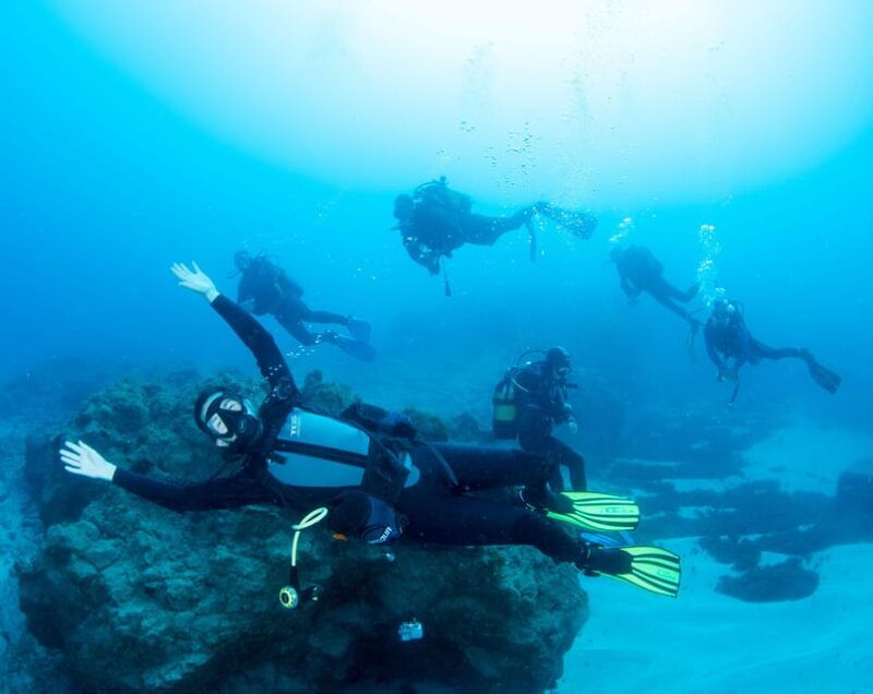 beginner-scuba-dive-with-scubapoint-tenerife-in-turtle-area