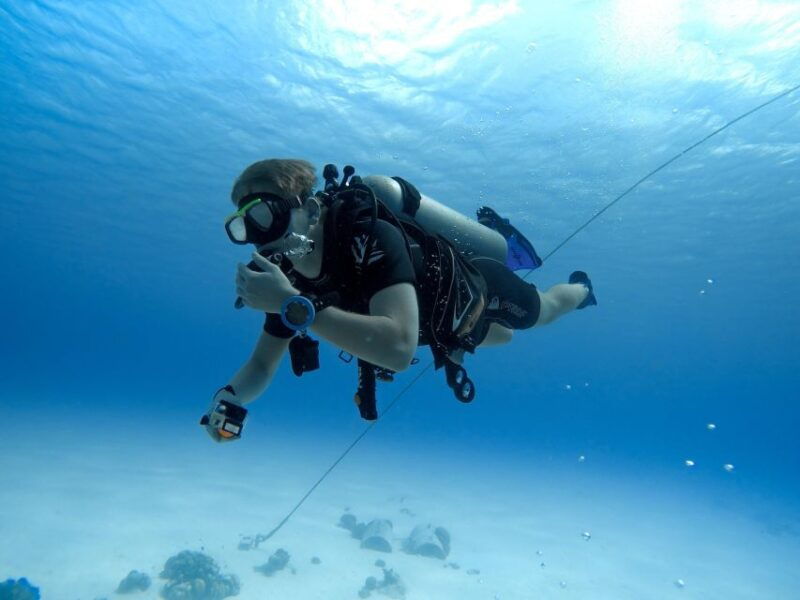 beginner-scuba-dive-with-scubapoint-tenerife-in-turtle-area