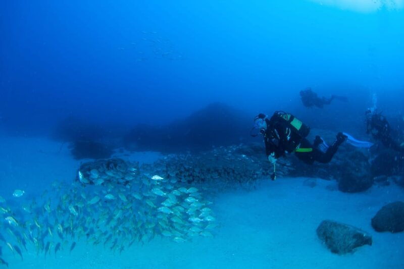 beginner-scuba-dive-with-scubapoint-tenerife-in-turtle-area