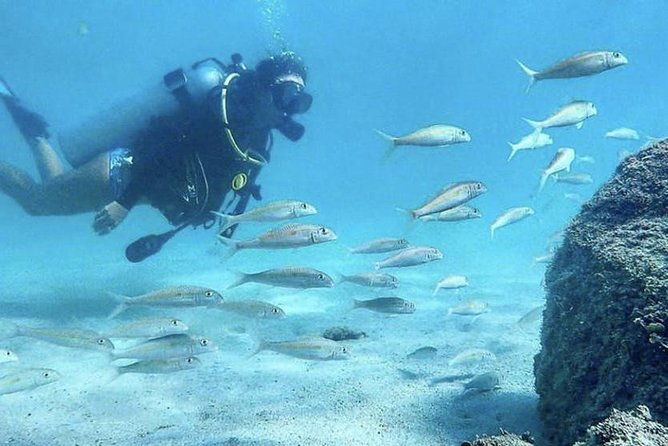 beginner-scuba-diving-adventure-with-videos-in-honolulu