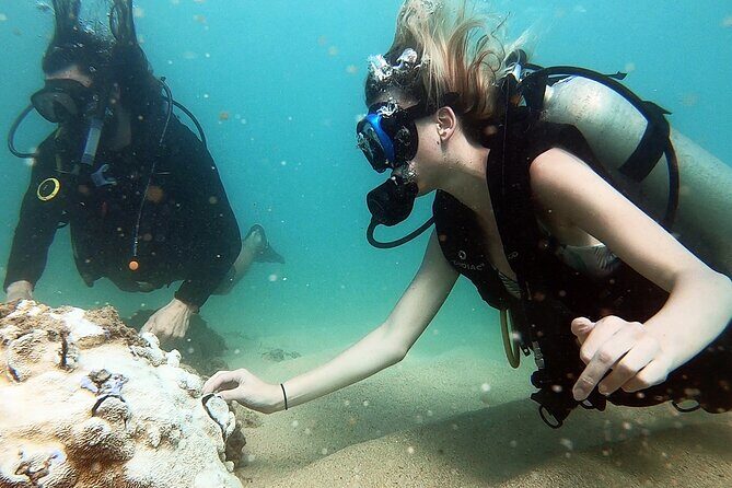 Beginner Scuba Diving Experience With Videos in West Palm Beach - Who Should Book This Tour?