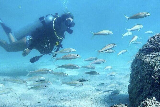 Beginner Scuba Diving Experience With Videos in West Palm Beach - The Sum Up
