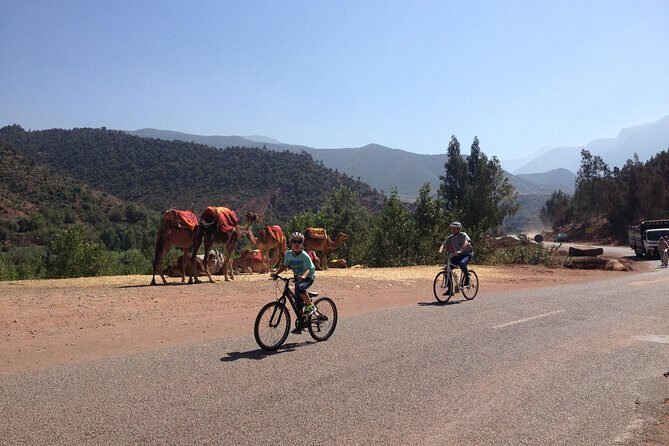 Beginners On-Road Bike Tour of the Atlas Mountains from Marrakech - Key Points