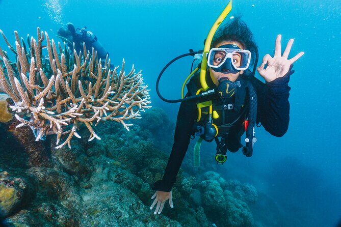 Beginners Scuba Diving, 2 Stops, Full Day Trip & Lunch - Hurghada - Key Points