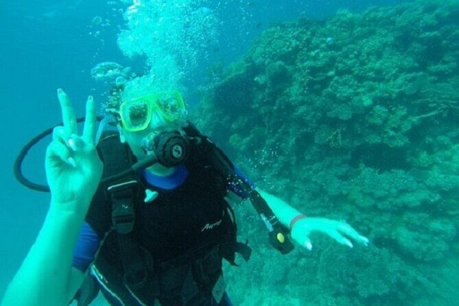 Beginners Scuba Diving, 2 Stops, Full Day Trip & Lunch - Hurghada - Potential Drawbacks or Considerations
