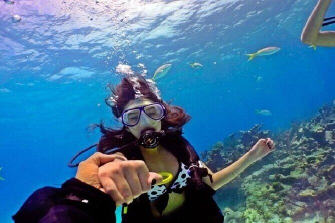 Beginners Scuba Diving, 2 Stops, Full Day Trip & Lunch - Hurghada - The Sum Up: Is It Worth It?