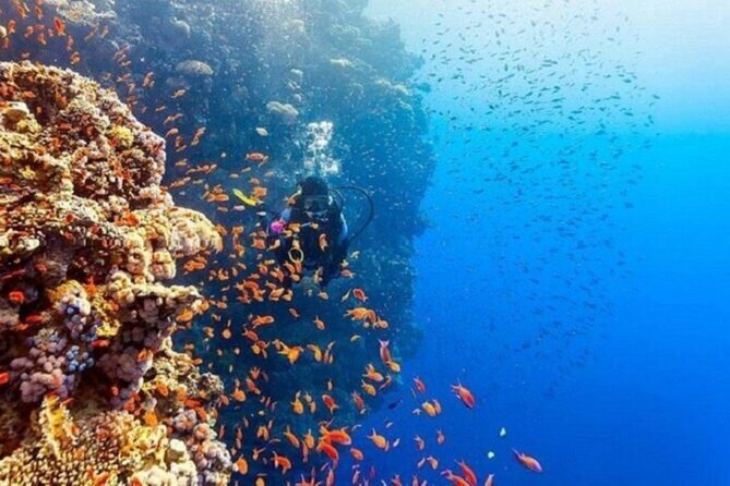 Beginners Scuba Diving, 2 Stops, Full Day Trip & Lunch - Hurghada - FAQs