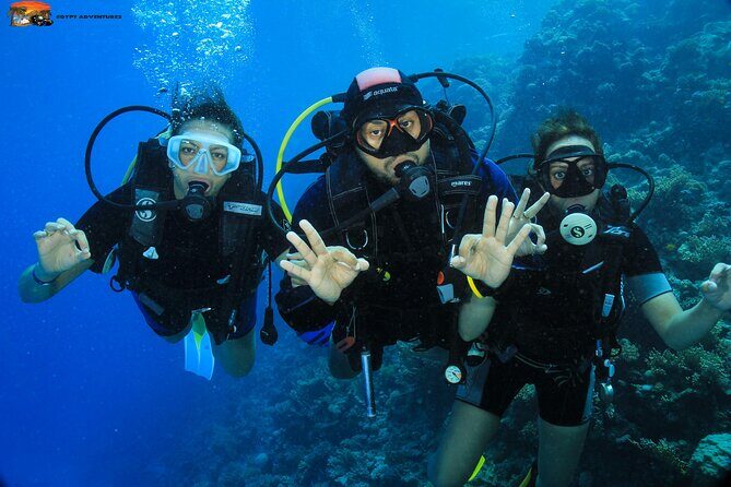 Beginners Scuba Diving Boat Trip With Equipment & lunch -Hurghada - Why You’ll Love This Trip