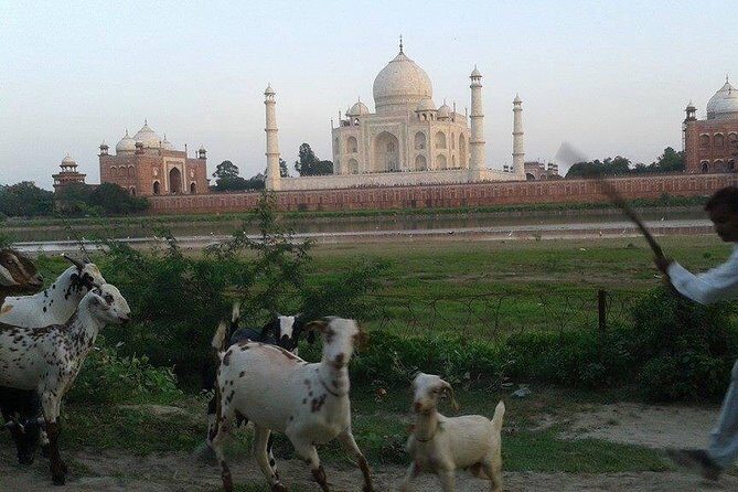 Behind the Taj Mahal with Sunrise or Sunset view by Tuk Tuk Ride - Who This Tour is Best For