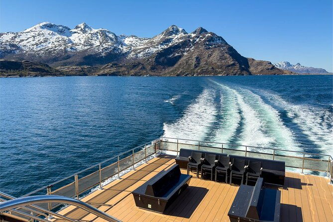 beiarfjord-saltstraumen-cruise-with-guide