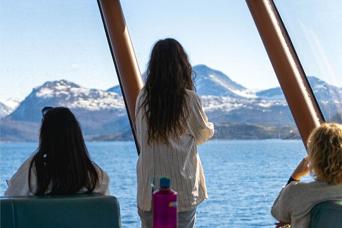 beiarfjord-saltstraumen-cruise-with-guide