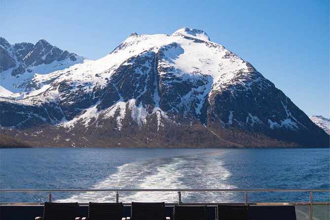 beiarfjord-saltstraumen-cruise-with-guide