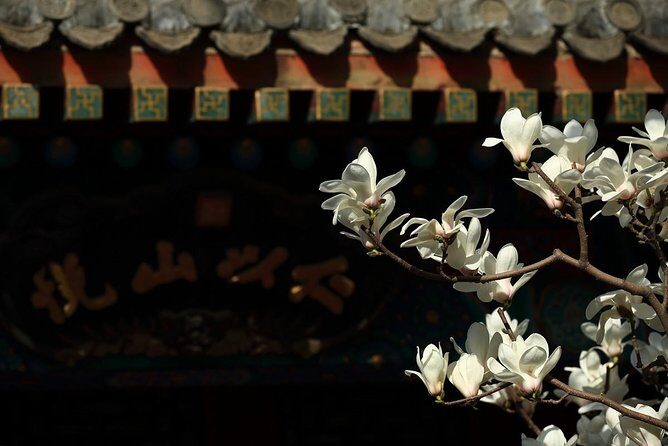 Beijing 2-Day Tour from Shanghai with Deluxe Soft Sleeper Train Experience - An In-Depth Look at the Tour Experience