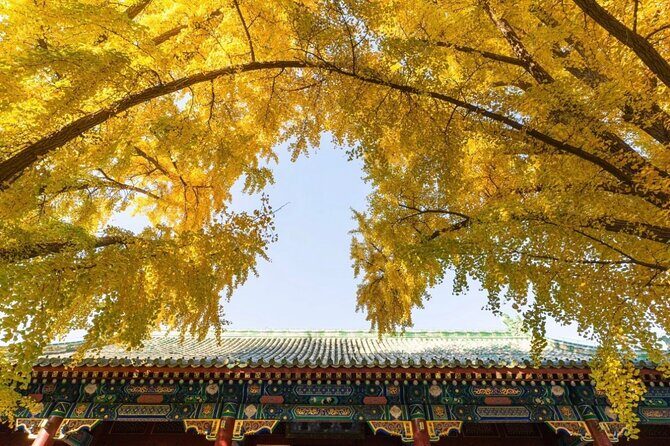 Beijing 3 Days Private Tour: Forbidden City & Great Wall and more - Final Thoughts