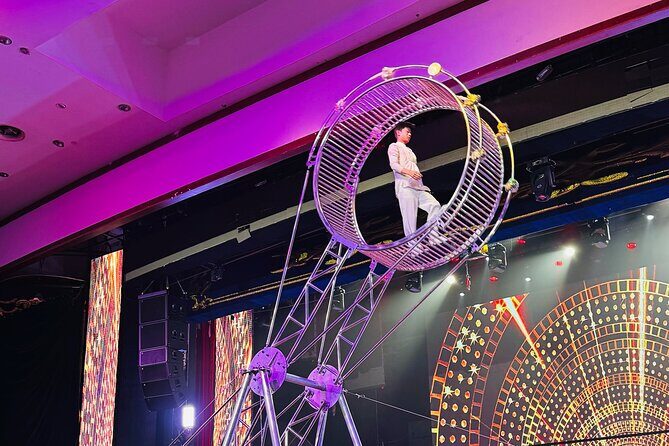 Beijing Acrobatics Show Tickets at Qinle Palace - Introduction