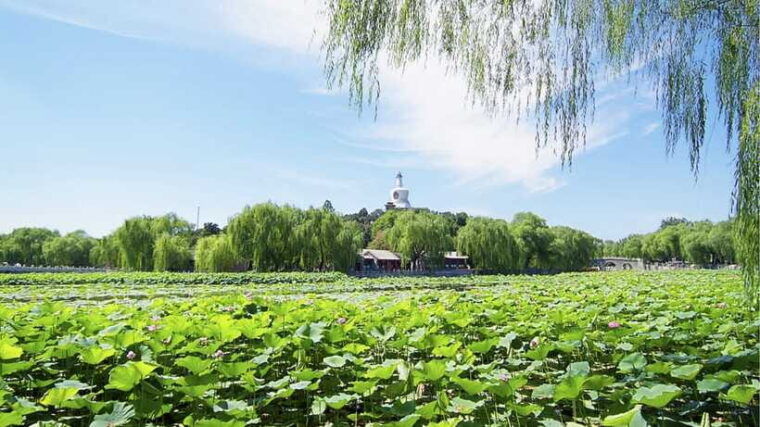 beijing-beihai-park-full-access-ticket-must-see-in-china